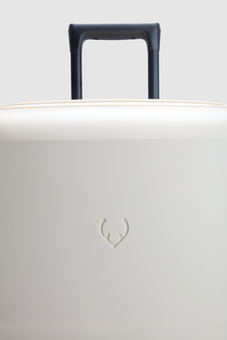 Single Stripe 68cm Suitcase