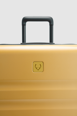 Icon Stripe 55cm Suitcase