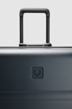 Heritage Stripe Trunk Suitcase