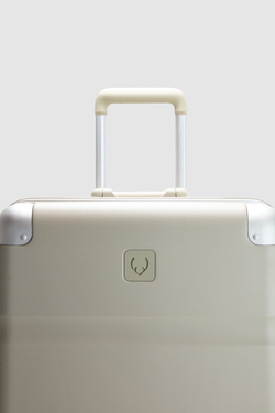 Heritage Stripe Trunk Suitcase