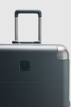 Heritage Stripe Trunk Suitcase