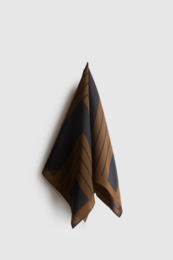 Silk Scarf Stripe Print