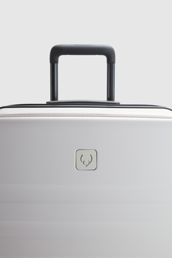 Icon Stripe Dual 66cm Suitcase
