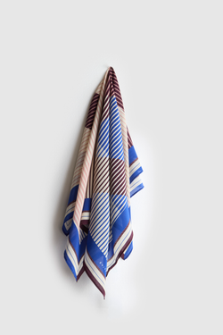 Silk Scarf Stripe Print